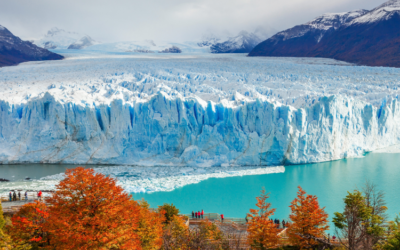 Structured Water: Overhyped Wellness Myth or Breakthrough?